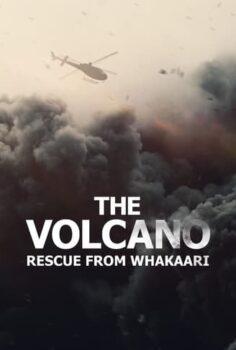 The Volcano Rescue from Whakaari izle